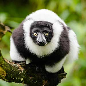 victorio mada tours photo voayge guide touristique about