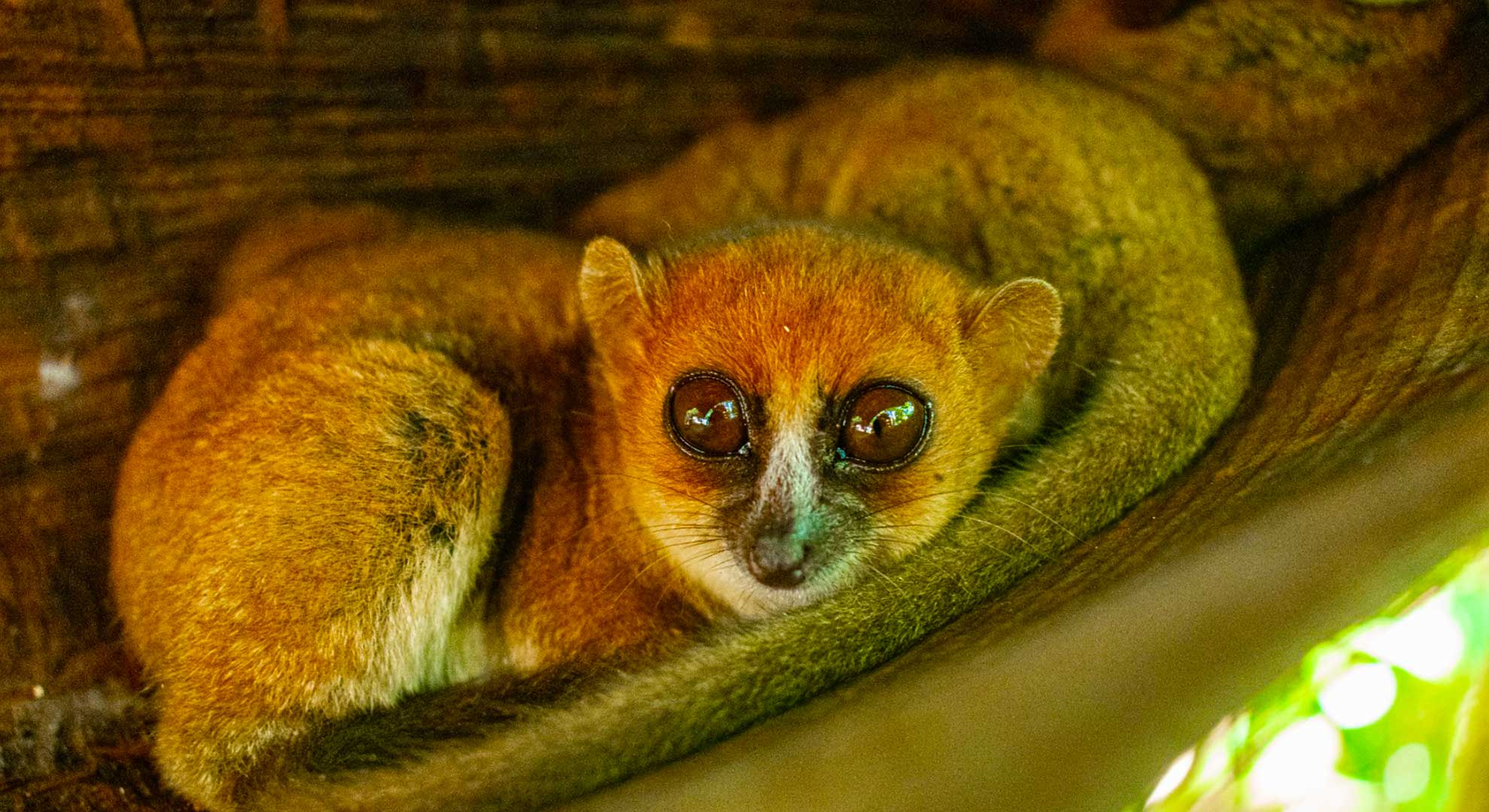 victorio-mada-tours-slider-2